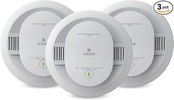 Smoke and Carbon Monoxide Detector, AA Battery Powered, with Voice Alerts, LED Status Lights, 85 dB Alarm, 5 inches, 30CUDR-V